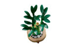 Lego - Lucky Bamboo - Image 3