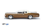 Dodge Royal Monaco - 1977 - Brown - Image 3